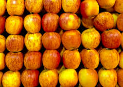 pomme 20 liste